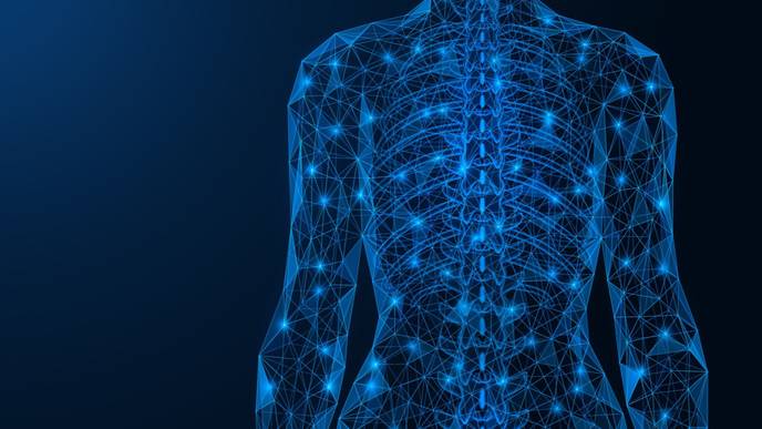 ReachMD Healthcare Image
