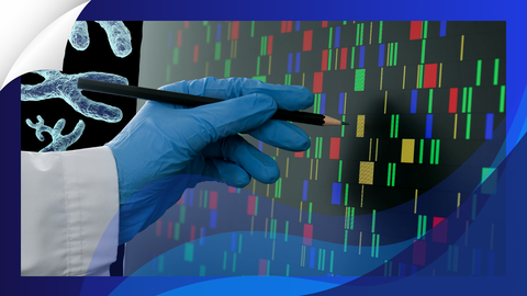 ReachMD Healthcare Image