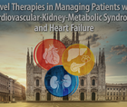 Novel Therapies in Managing Patients With Cardiovascular Kidney Metabolic Syndrome and Heart Failure