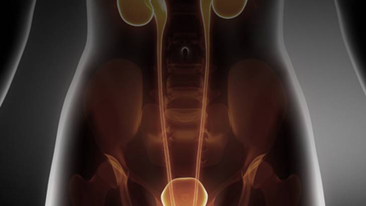 ReachMD Healthcare Image