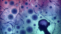 understanding the impact of anxiety and insomnia on immune function