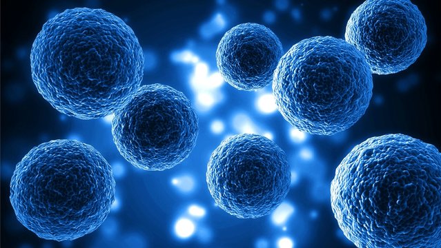 Optimizing Perioperative Therapy in Early-Stage NSCLC: A Multidisciplinary Approach