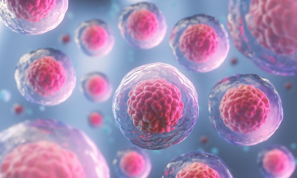 Improving HR+/HER2- Breast Cancer Outcomes with TROP2 Antibody-Drug Conjugates