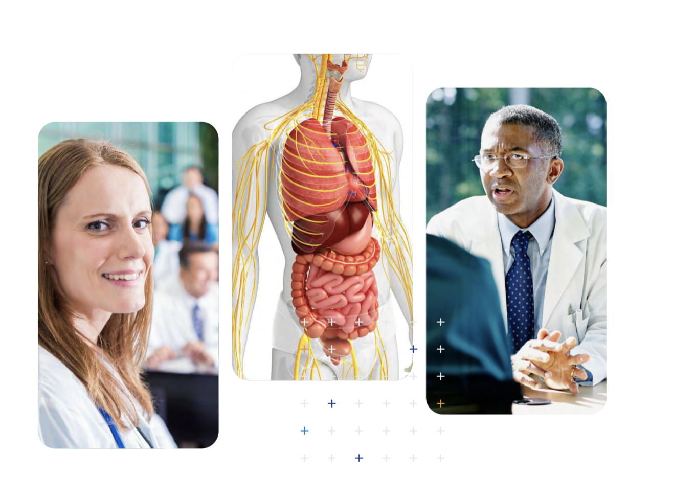 Healthcare professionals and medical imagery