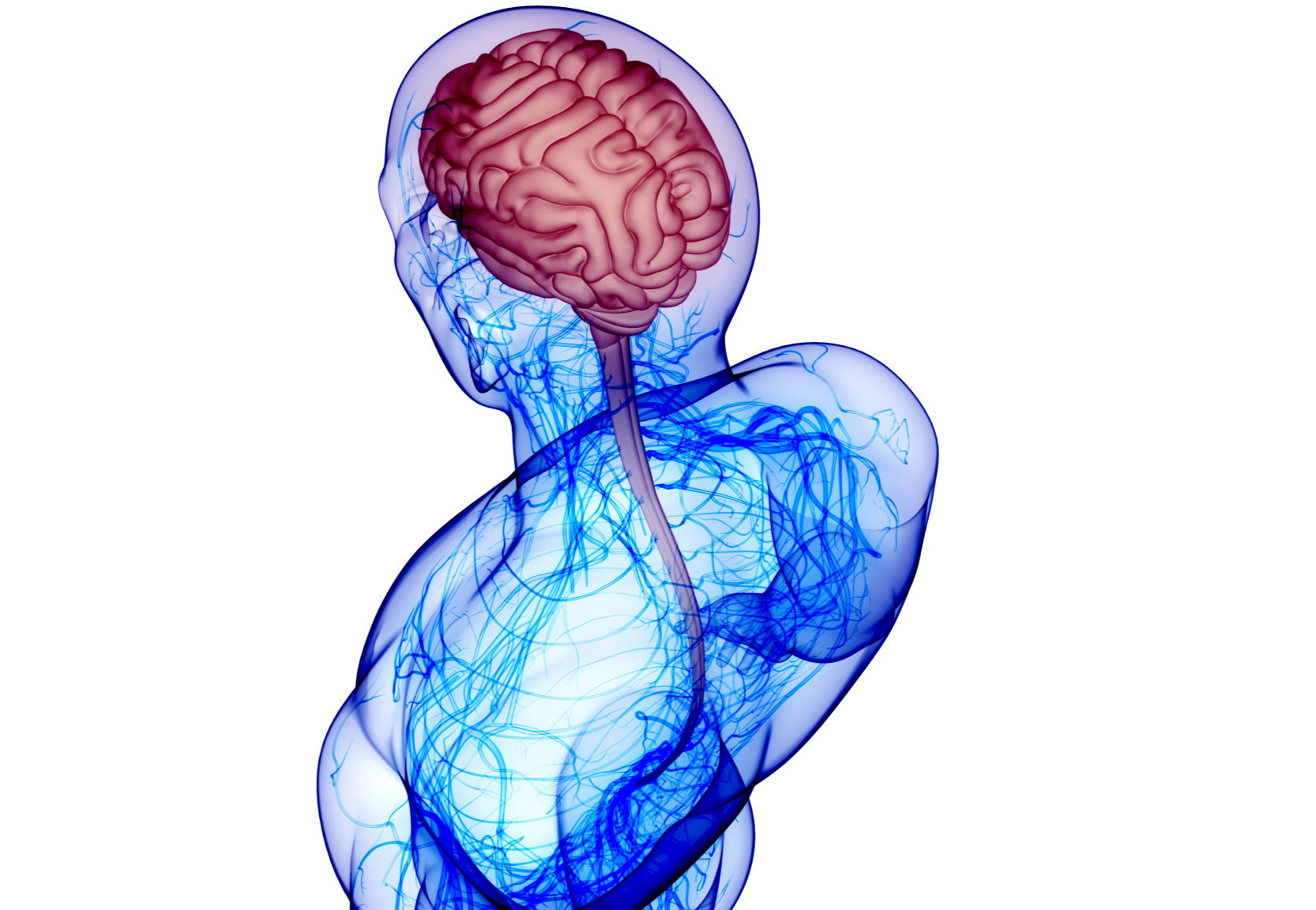 Researchers 3D-Print Functional Human Brain Tissue - ReachMD