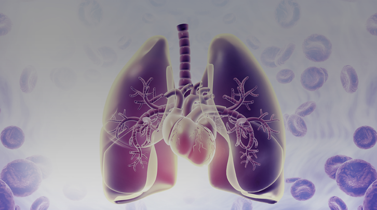 Update in Pediatric Pulmonary Hypertension