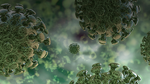 Separating Fact from Fiction: Novel Coronavirus Myths