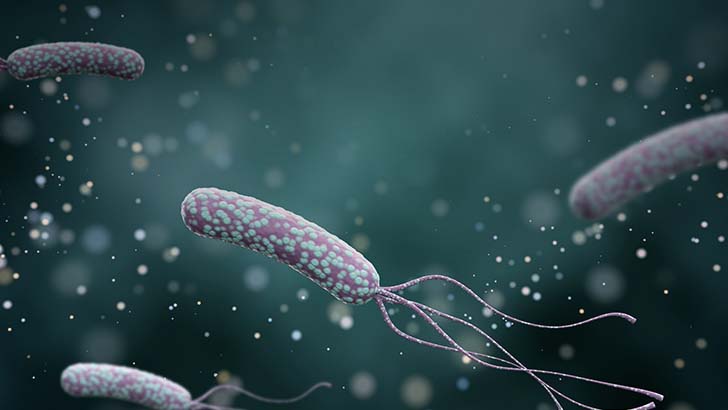 Eradicating Helicobacter Pylori: What the Gastroenterologist Needs to ...