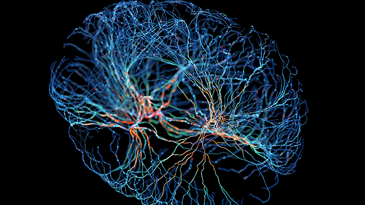 Why Humans Developed Memory Medical Education on ReachMD