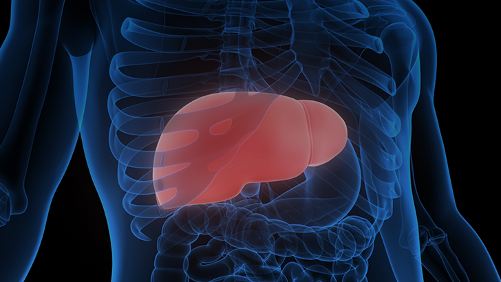 CME: LFT, bile, liver, PSC, PBC