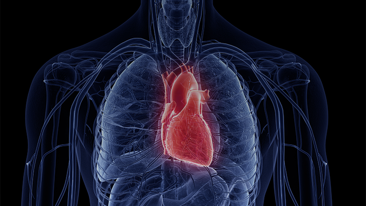 CME; gradient, TAVR, ECHO, valve, sonography