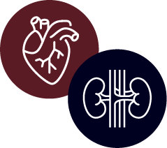 Heart and Kidney Icons